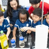 What is STEM in Primary School?