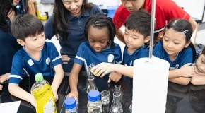 What is STEM in Primary School?