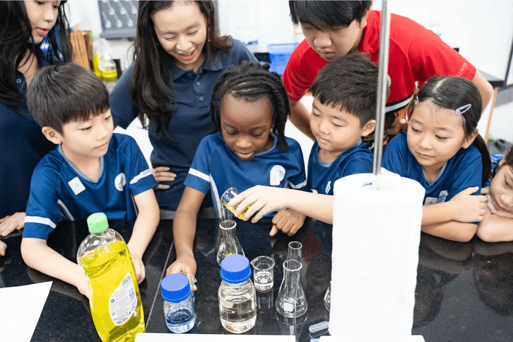 What is STEM in Primary School?