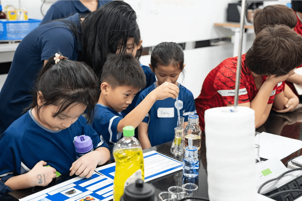 What is STEM in Primary School?