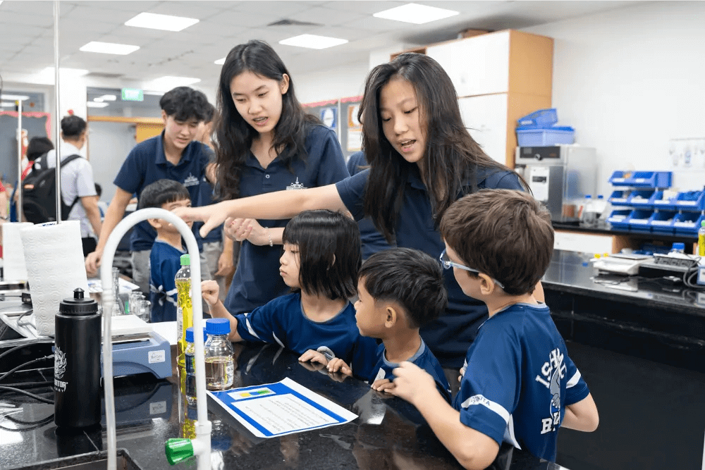 Why is STEM Important in Early Childhood Education?